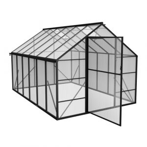 PEILU Serre en aluminium avec panneaux en polycarbonate transparent, fen&ecirc;tre de toit, porte et fondation, 380 x 250 x 205 cm, r&eacute;sistante &agrave; l'hiver, pour jardin, ext&eacute;rieur (Peili-Home, neuf)