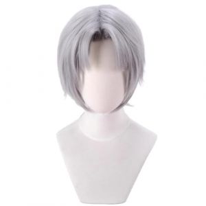 RiRaku Anime Cosplay Perruque Dante Silver Grey Short Halloween Costume Cosplay Perruque,pour Fête Carnaval Noël (ZouPingPengQiJianZhuGongChengYouXianGongSis, neuf)