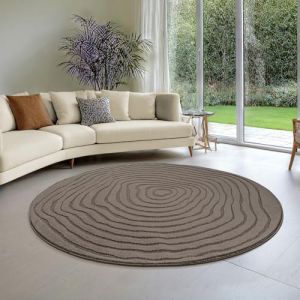 the carpet Everest - Tapis Salon Moderne &agrave; Poils Courts avec Effet de Haut en Bas, Effet 3D, Haute densit&eacute; de Poils et agr&eacute;ablement Doux, Marron, 120 cm Rond (the carpet, neuf)