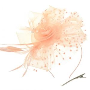 AOWVUTS Fascinator Chapeau Plume Mariage Dames Day Bandeau et Clip Fascinator Chapeau Fleur Maille Plume Dentelle avec Barrett Chapeaus Fascinateur Voile Cocktail Tea Party Chapeaus pour Femme (D, Un) (Foshan City Dange Auto Co., neuf)
