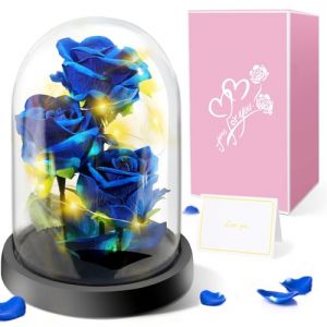 Rose Eternelle sous Cloche, Cadeaux de Fête des Mères–3 Rose de Soie Bleu, Rose Dôme en Verre Fleur Artificielle avec LED Lumières pour la Fête des Mères, Cadeau pour Elle,Petite Amie,Femme,Maman (Touloube, neuf)