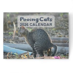 evelay Calendrier mural 2026 A4 amusant avec chat - Affichage mensuel par mois - Format A3 lorsqu'il est ouvert - Organiseur mural familial pour la maison et le bureau (Click-it-, neuf)