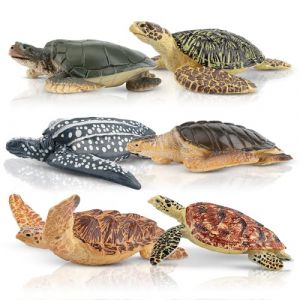 toymany Lot de 6 Figurines de Tortues, Ensemble de Figurines d'animaux de Tortue réalistes, Figurines de Jouets océaniques, Figurines d'animaux Marins réalistes, Jouet de Tortue pour Enfants (TOYMANY, neuf)