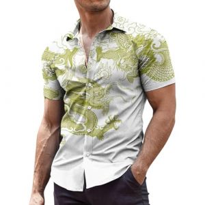 RUMAOZIA Chemises de loisirs pour homme, chemise hawa&iuml;enne &agrave; manches courtes imprim&eacute;e 3D de dragon, chemise d'&eacute;t&eacute;, coupe droite, chemise de loisirs &agrave; graphisme vintage, chemises pour homme, style chic (runBel, neuf)