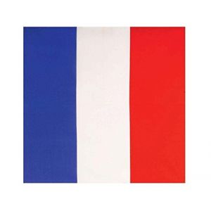 PURECITY&copy; Bandana Original Paisley Coton Foulard Qualit&eacute; Sup&eacute;rieure Unit&eacute; - Lot de 6 - Lot de 12-52cm x 52 cm - Tendance Accessoire de Mode Nouvelle Collection (34# Drapeau Fran&ccedil;ais) (ABSOLUTE DISCOUNT, neuf)