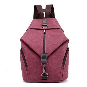 PADGENE Toile Sac à Dos pour Femmes, Sac de Voyage Grande Capacité Casual Vintage Sac à Dos Femme Casual Sac pour Vacances Voyage Randonnée Camping (Padgene-FR, neuf)