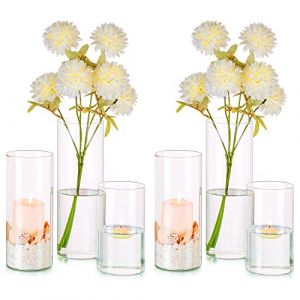 Hewory Vases Cylindriques en Verre Lot de 6, Grand Vase en Verre Transparent pour Fleurs, Support de Bougie pour Bougie Pilier Flottante, Vase &agrave; Fleurs pour Centre de Table pour Mariage, 14/19/24cm (Sportsteam-66, neuf)