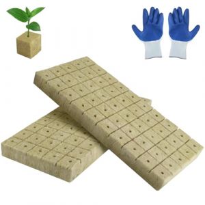 TXXATX Rockwool Cube Lot de 200 cubes de laine de roche 25 x 25 x 25 mm avec gants Isolation en laine de roche Easy Plug Cubes de culture pour culture hydroponique boutures, boutures, boutures sans (JiaFangTrading, neuf)