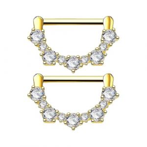 XFSRG 1 Paires 14G Piercing Teton Piercing de T&eacute;ton en Acier Inoxydable 316L Hypoallerg&eacute;nique Body Barres Parure de Bijoux pour Femme et Fille (Or) (MAPOTUNIRT S.R.L., neuf)