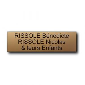 Plaque bo&icirc;te aux lettres personnalisable 12 x 3,5 cm - Gravure laser PVC - Plaque nom adh&eacute;sive - &Eacute;tiquette porte/sonnette - Plaquette signal&eacute;tique personnalis&eacute;e (Or Mat) (France-gravures, neuf)