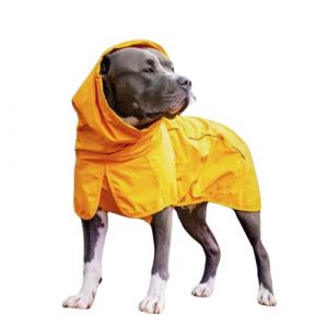 Spark Paws Manteau de pluie imperm&eacute;able et coupe-vent pour chiens de petite, moyenne, grande et tr&egrave;s grande taille, couverture int&eacute;grale r&eacute;fl&eacute;chissante et respirante, jaune moutarde, taille 3XL (Spark Paws, neuf)