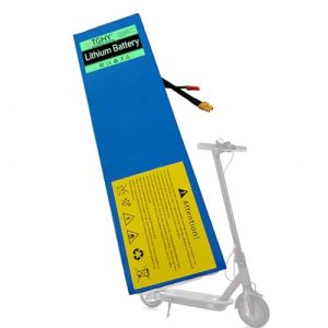 TGHY Batterie Lithium pour Trottinette &eacute;lectrique Pliable 36V 6Ah 8Ah 10Ah 12Ah 12,5Ah 17,5Ah 20Ah, Batterie Li-ION 36 V pour Trottinette &eacute;lectrique de 0 &agrave; 750 W (Accessoire).,36v8ah (LWTMALOM, neuf)