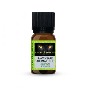 Le Chat Sorcier - Huile Essentielle de Ravensare Aromatique 10ml 100% Pure (Ravensara Aromatica) (Le Chat Sorcier, neuf)
