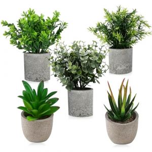 5 Pi&egrave;ces Plantes Artificielles Interieur,Plante artificielle interieur pour d&eacute;coration de salon de cuisine,Fausse Plante Interieur pour Balcon bureau Decoration salle de bain,Mini plante artificielle (RANDA GEOMEN, neuf)