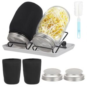 2 germoir &agrave; graines - Pot pour Germination 32oz - Mat&eacute;riau en Verre - Avec Couvercle en Acier Inoxydable, Support et Plateau en Plastique - Pour Cultiver des Microgreens - Pour Cuisine, Jardin (Noir) (Dandestore, neuf)