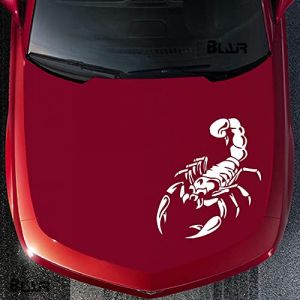 Autocollant Capot de Voiture Sticker Réfléchissant Motif Scorpion (Blanc) (BWGHBH-FR, neuf)