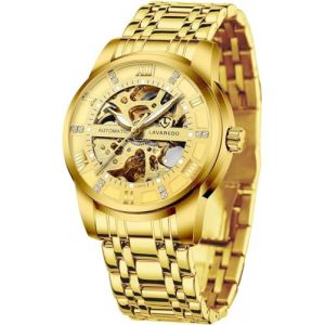aswan watch Montre Automatique Homme-Cadran Squelette avec Chiffres Romains et Diamant-Montres Mécanique avec Bracelet en Acier Inoxydable (zsfei, neuf)