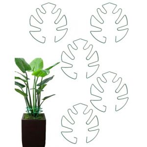 JUKOTA 5 Pi&egrave;ces Tuteurs pour Monstera，Supports Tiges Plantes Monstera R&eacute;utilisable, avec Design Unique de Feuille, D&eacute;coratif Support de Plantes, pour Plantes D'int&eacute;rieur(Vert) (CAR PARTS FOR ALL, neuf)
