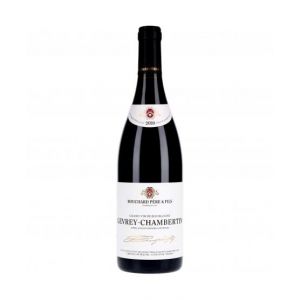 Gevrey-Chambertin 2020 (xo-vin, neuf)