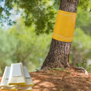 Pafnisoin Gel Anti Fourmis 25CM × 10M Glu Arboricole Bande Glue Arbre Fruitier Attrape Moucheron Efficace Contre Les chenilles, Fourmis et Autres Insectes nuisibles (YingFeiJinFei, neuf)