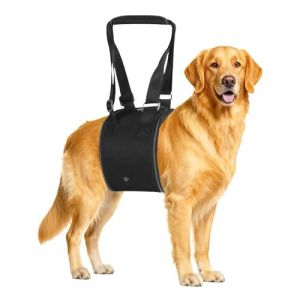 XFSRG Harnais pour Chien Handicap&eacute; Porteur Chien Sling Harnais de Levage R&eacute;glable pour Les Chiens Ag&eacute;s Bless&eacute;s ou Handicap&eacute;s (Noir M) (BOUTIQUE ONLINE S.R.L., neuf)