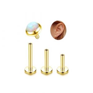 Adramata G23 Titane Piercing Helix Tragus Hypoallergénique Labret Levre Filetage Interne Monroe Medusa Petit CZ Oreille Conch Or Argent (jjccui, neuf)