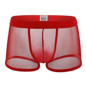 SamHeng Boxer Sexy en Maille pour Homme, sous-v&ecirc;tement Respirant et Transparent, cale&ccedil;on Taille Basse en r&eacute;sille, Cadeau pour Petit ami, sous-v&ecirc;tement Extensible Quotidien, Boxer pour Homme (QingPo, neuf)
