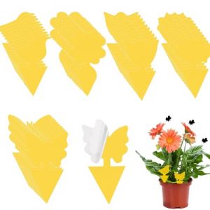 50Pcs Pièges À Insectes, Jaune Double Face Attrape Collant, Pendaison Pièges pour Insecte Volant, 5 Styles de Plantes Anti Mouches Autocollants, Pour Jardin Plante Fleur (OliveeeBeauty, neuf)