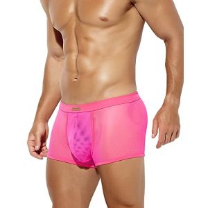 Casey Kevin Boxer Homme Sexy Transparent Culotte, Lingerie Sexy Homme Mesh sous-vêtements (Casey-Kevin, neuf)