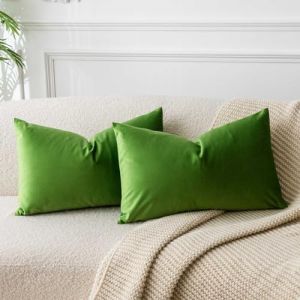 JUSPURBET Housse de Coussin en Velours Vert Pomme 30x50 cm Lot de 2 pour Salon Canapé Chambre à Coucher Décoratif Rectangulaire Doux avec Fermeture Éclair Invisible (JUSPURBET, neuf)
