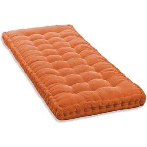 Coussin de Banc Exterieur int&eacute;rieur 100x40/120x40/140x40/150x50/180x55cm Banc Assise Coussin 8-10cm Jardin Coussin D'assise Epais Coussin de Sol Canap&eacute; pour Maison Patio Balan&ccedil;oire(M11,55x65cm/21.65x2 (POSTTER SHOP, neuf)