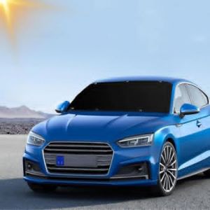 CaiTang Pare Soleil Voiture, Pare Brise Avant Anti UV Repliable Universelle, Bâche Pare Brise Protection Magnétique, Repliable Pare-Brise Avant Voiture, UV, Soleil, Poussière, Pluie, 210 x 125 cm (CaiTangShopEu, neuf)