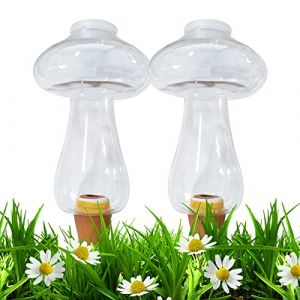 2 Pi&egrave;ces Cone Arrosage Bouteille 300ML, Bille Argile Plante Interieur, Syst&egrave;mes D'irrigation Automatique pour Planter Pot, Distributeur Eau Plantes Arroser Vacances Transparent Boules (Champignon) (hongenerlu, neuf)