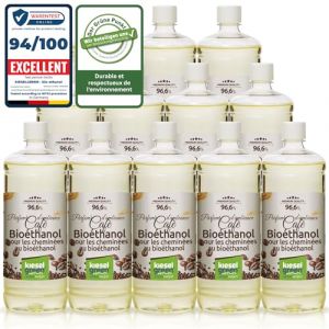 KieselGreen Bio&eacute;thanol 12 x 1 Litre avec Parfum pour Chemin&eacute;e &agrave; l'&eacute;thanol - Bio&eacute;thanol comme Parfum d'ambiance - Parfum pour Chemin&eacute;e &agrave; l'&eacute;thanol Bio int&eacute;rieur ou feu de Table au Bio&eacute;thanol (KBH Online, neuf)