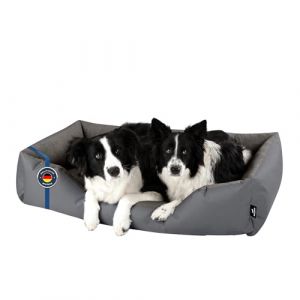 BedDog Zara Lit pour Chien XXL - Orelier - Panier - Canapé - Housse Amovible, Lavable, pour Moyen-Grands Chiens (SOGO-GmbH, neuf)
