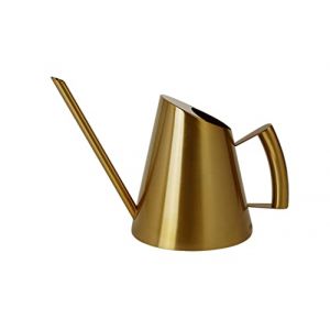 Anawakia Arrosoir en acier inoxydable - Bouche longue - Petit arrosoir - Pour plantes d'int&eacute;rieur - 900 ml - Dor&eacute; (Anawakia, neuf)