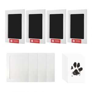 4 pièce empreinte chien，kit empreinte chien，empreinte chat，kit empreinte bebe，kit empreinte chat，empreinte main pied bebe，kit pour empreinte animaux，empreinte bebe (Pleasant  Decoration Store, neuf)