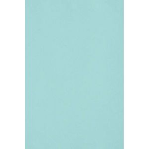 Netuno 20x carton bleu clair 250g papier d&eacute;coratif A4 210x297mm Burano Azzurro id&eacute;al pour cartes de voeux scrapbooking bricolage invitations art et artisanat anniversaire DIY loisirs cr&eacute;atifs (netuno, neuf)
