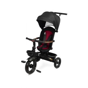 TOYZ - Tricycle &Eacute;volutif pour Enfants Saber - V&eacute;lo &agrave; 3 Roues pour Gar&ccedil;ons et Filles - Tricycle avec Canne Parentale - V&eacute;lo Enfant avec Dossier et Ceinture de S&eacute;curit&eacute; - 51x104x101 cm - Rouge (IKS 2 Group, neuf)