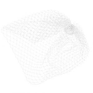 ULTECHNOVO Voile Cage &agrave; Oiseaux Blanc en Maille pour Mariage Accessoire de Coiffure de Mari&eacute;e Voile Cage &agrave; Oiseaux Visage pour C&eacute;r&eacute;monie et F&ecirc;te (Chad Bi, neuf)