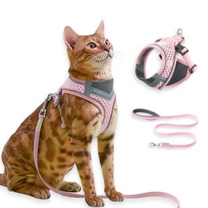 Harnais Chat avec Laisse, Anti-Évasion, Réfléchissant, Respirant Réglable, Gilet-Harnais pour Chaton pour Promenades Extérieures Confortables, Convient aux Chats et Petits Chiens (Rose, S) (MS Momo, neuf)