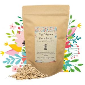 Alga Vigora - Floral Boost - Engrais Naturel pour Floraison Abondante et Fructification Optimal - Formule à base d'Algues Ascophyllum - 250g = 50L d'engrais - Facile à Utiliser - Produit 100% Français (CarpeXpert, neuf)