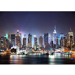 Runa Art Papier peint intiss&eacute; New York 352 x 250 cm Toison Mur XXL Muraux Tapisserie Photo D&eacute;coration Murale Salon Chambre Color&eacute; 9038011a (Runa Art GmbH, neuf)