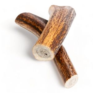 Bois de Cerf pour Chiens - Fabriqués à Partir de Bois de Cerf Rouge Naturel et Sélectionné avec Soin, Riche en Protéines et en Minéraux.- L (151-225g), Paquet de 2 (JV trade, neuf)