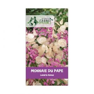 Lot de 2 Grammes de graines de Monnaie du Pape - Lunaria - soit +/- 100 graines (Planète Graines, neuf)