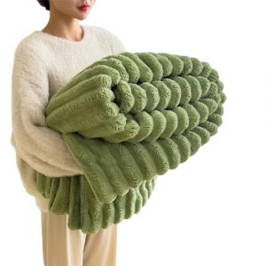 Baketron Couverture Fausse Fourrure de Lapin，Couverture Polaire Moelleuse en Flanelle，Chaude Double Face Doux pour Domicile，comme jet&eacute; de canap&eacute; ou Couverture de（Vert，180x200cm） (JIEXIUBAIHUO, neuf)