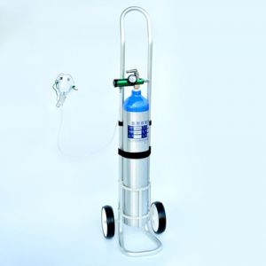 Support de bouteille d'oxygène, chariot à oxygène pour bouteille unique, petite taille, chariot pour bouteille d'oxygène pour réservoir d'oxygène, chariot de support de réservoir d'oxygène en alliag (Satisfy you88, neuf)