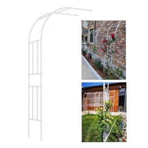 LJDJRHXH Arcade Demi De Roses Montage Mural, Arche De Jardin en Métal, Tuteur Tonnelle pour Plantes Grimpantes, 120 150 180 200 220 240 260 270 300 cm Treillis Pergola pour Décor Mariage(Blanc) (ZTJSLD, neuf)