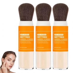 Poudre Minérale Translucide Absorbant La Transpiration,Essence Poudre,Poudré Fond De Teint Visage,Poudré Fixatrice Maquillage,Poudrè Antirides,Contrôle Le Sébum,Brillance De La Transpiration (3PC, 8g) (FEIBAO&-Wu, neuf)