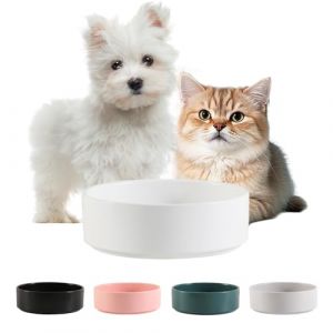 C&eacute;ramique Gamelle Chien Antid&eacute;rapante - Bol Chien Croquette pour Petit et Moyen - Gamelle pour Chat pour Eau et Croquette - Bol C&eacute;ramique Anti&eacute;claboussure - 15 cm - 210 g / 420 ML - Blanc (PTOBER, neuf)